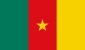Cameroon national flag icon in the correct aspect ratio. File is built in the CMYK color space for optimal printing, and can easily be converted to RGB without any color shifts.
